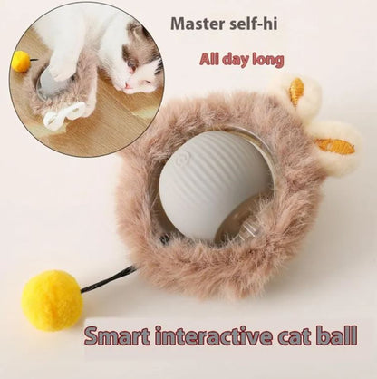 SmartRoll Pet Ball