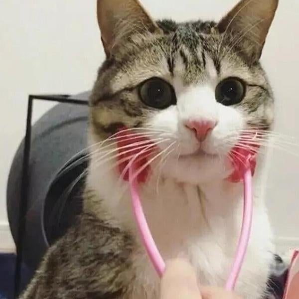 Pet Face Roller Massager